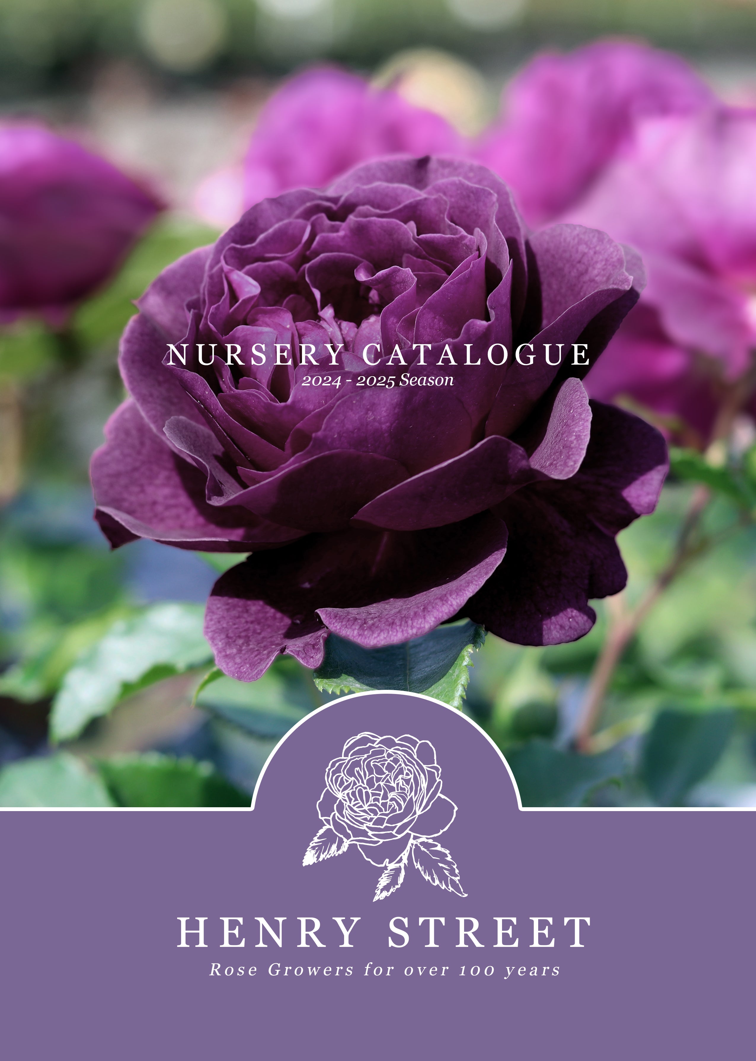 Nursery Catalogue (2024 25) Henry Street Nursery