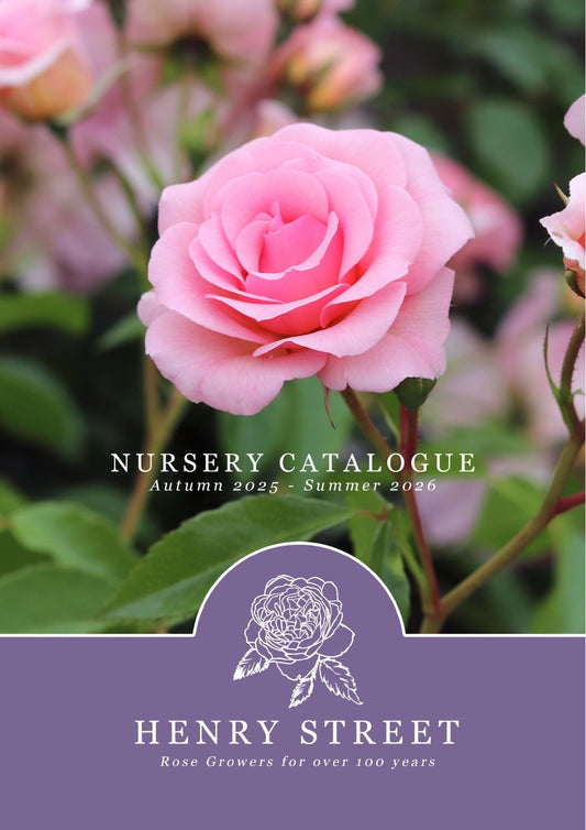 Nursery Catalogue (2025 - 26)