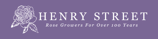 Henry Street Nursery